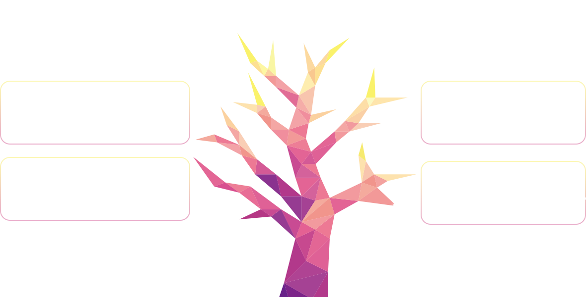 實(shí)力